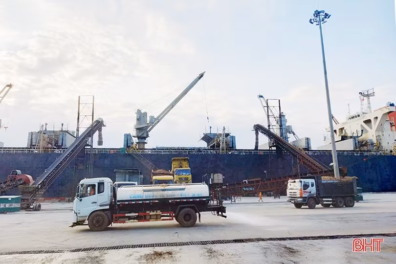 Xuất khẩu dăm gỗ Hà Tĩnh mang về hơn 99 triệu USD