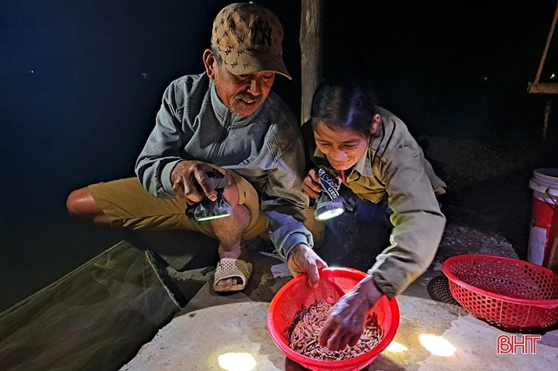 “Săn rươi ban đêm ở Nghi Xuân
