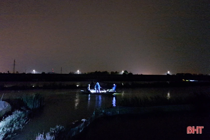 Hà Tĩnh: “Săn” rươi, kiếm tiền triệu mỗi đêm