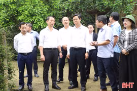 Chủ tịch UBND tỉnh kiểm tra thực tế và chỉ đạo sản xuất đầu xuân Bính Ngọ