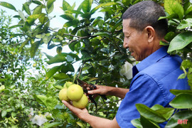 Giải thể Hội Làm vườn và Trang trại Hà Tĩnh