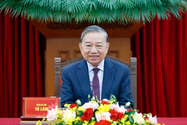 Tổng Bí thư Tô Lâm điện đàm với Tổng Bí thư, Chủ tịch nước Trung Quốc Tập Cận Bình