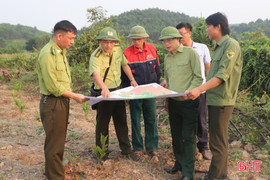 Hà Tĩnh chủ động phòng chống cháy rừng ngay từ đầu mùa nắng