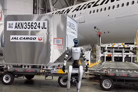 Robot hình người đang làm được gì ngoài đời thực?