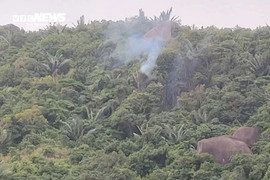 Máy bay quân sự rơi trên vùng núi, phi công nhảy dù an toàn