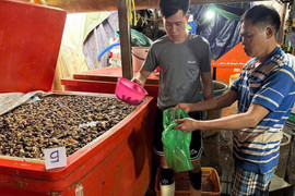 Triệt phá đường dây ngâm thịt ốc bằng hóa chất quy mô đặc biệt lớn