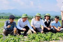 Xã Đức Đồng tuyển dụng viên chức khuyến nông