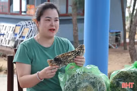 Bánh đa Kỳ Xuân theo chân du khách về Hà Nội