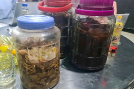 6 người nguy kịch sau khi uống rượu ngâm rễ cây