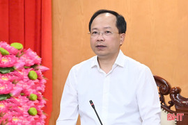Ban Thường vụ Tỉnh ủy, Ban Chấp hành Đảng bộ tỉnh cho ý kiến nhiều nội dung quan trọng