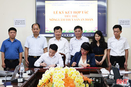 Hà Tĩnh – Lâm Đồng kết nối quảng bá, tiêu thụ nông sản sạch