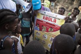 Congo bùng phát dịch Ebola, 15 người chết