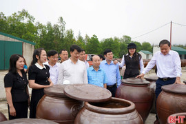 Hơn 100 cán bộ cốt cán hợp tác xã được “cầm tay chỉ việc”