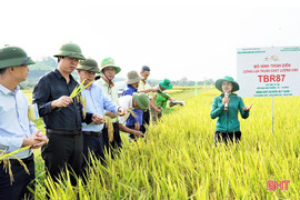 Sắp xếp, tinh giản hơn 35.000 cán bộ khuyến nông cả nước