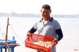 Du lịch vào mùa, hải sản được giá, ngư dân phấn khởi vươn khơi
