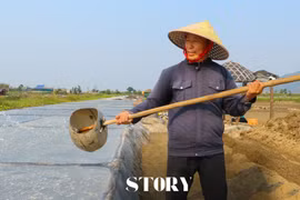 Người "trốn" nắng gắt, tôi "trông" nắng vàng