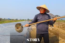 Người "trốn" nắng gắt, tôi "trông" nắng vàng