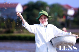 Ruộng đồng rộn tiếng cười xuân