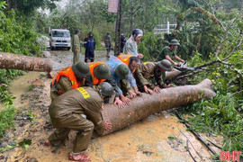 Dự báo số cơn bão có thể ảnh hưởng tới Việt Nam trong năm 2026