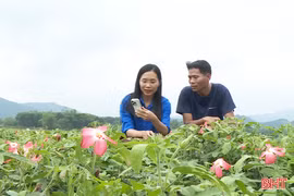 Tuổi trẻ Hà Tĩnh tiên phong chuyển đổi số