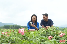 Tuổi trẻ Hà Tĩnh tiên phong chuyển đổi số