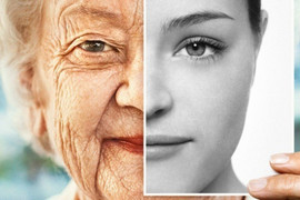 Những điểm khác biệt mấu chốt trong mẫu máu của người sống rất thọ