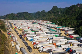 Lùi thực hiện Nghị định 46 về an toàn thực phẩm đến 15/4