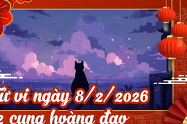 Tử vi 12 cung hoàng đạo Chủ Nhật ngày 8/2/2026: Song Tử bứt phá, Cự Giải cần tỉnh táo