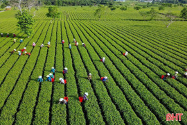 ADB mong muốn xây dựng mô hình du lịch "chữa lành" tại Hà Tĩnh