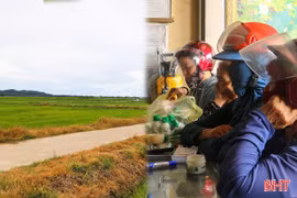 Hà Tĩnh siết quản lý thuốc cỏ cháy ngay đầu vụ hè thu