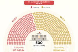 Dự kiến cơ cấu, thành phần đại biểu Quốc hội khóa 16