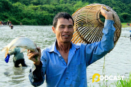 Mùa cá cạn