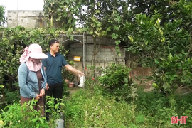 Vì sao nhiều người dân không còn mặn mà làm vườn mẫu?