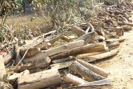 Sau bão số 9, nước lũ sông Ngàn Sâu "moi ruột" hơn 1km đường bê tông liên xã Hà Linh - Phương Mỹ! ...đánh sập nhiều cầu cống trên tuyến đường này... ... để lại cho người dân Phương Mỹ nhiều "chiến lợi phẩm"... và... tiếp tục uy hiếp nhiều làng quê ở Hà Linh! Sau bão số 9, nước lũ sông Ngàn Sâu "moi ruột" hơn 1km đường bê tông liên xã Hà Linh - Phương Mỹ! ...đánh sập nhiều cầu cống trên tuyến đường này... ... để lại cho người dân Phương Mỹ nhiều "chiến lợi phẩm"... và... tiếp tục uy hiếp nhiều làng quê ở Hà Linh!