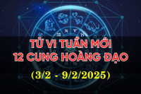 Tử vi tuần mới từ 3 - 9/2/2025 của 12 cung hoàng đạo: Sư Tử tự tin, Bảo Bình bận rộn