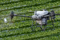 Giấy phép điều khiển phương tiện bay hạng B mở ra cơ hội nghề nghiệp lĩnh vực UAV