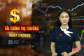 Tài chính thị trường ngày 7/8: Hà Tĩnh đấu giá 15 lô đất, khởi điểm tới 88 triệu/m²