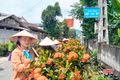 Phụ nữ Hà Tĩnh lan tỏa “Gia đình 3 sạch” trên không gian mạng
