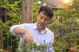 Gửi tâm vào nhánh, gửi ý vào cây