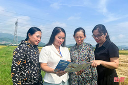 Những người "dệt lưới" an sinh