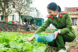 Xanh mướt những vườn rau thanh niên công an xã