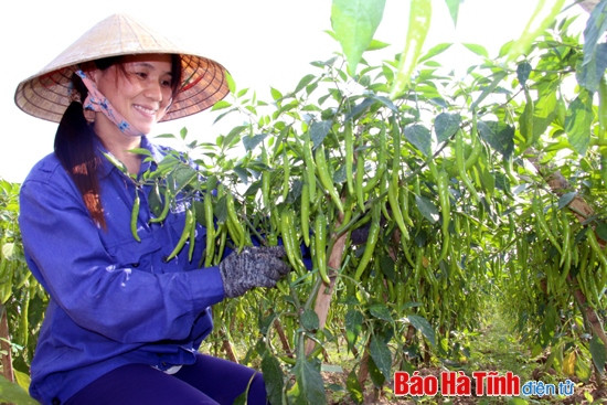 “Xóa” xã dưới 7 tiêu chí: Không còn đường… lùi! ảnh 1