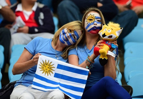 Các hotgirl hâm nóng khán đài Copa America 2015 ảnh 12