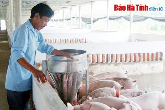 “Xóa” xã dưới 7 tiêu chí: Không còn đường… lùi! ảnh 2