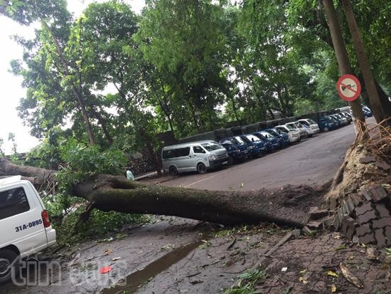 Trong tháng 6 sẽ không tiếp tục xảy ra siêu dông ảnh 1