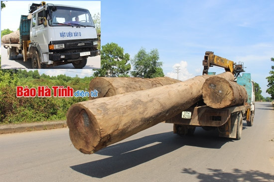 Xe tải chở gỗ nghênh ngang trên phố ảnh 1