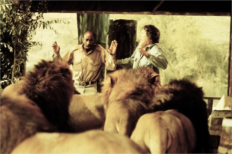 Một số cảnh trong bộ phim Roar của gia đình Hedren-Marshall.