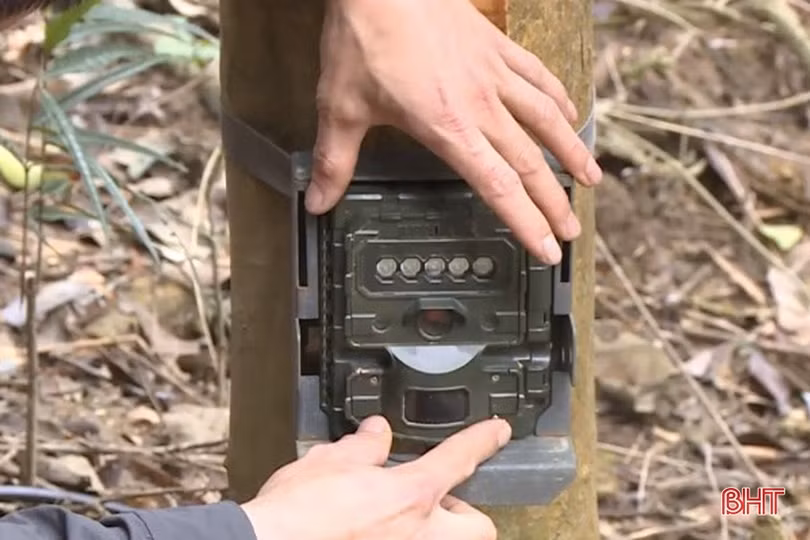 “Trợ thủ” phát hiện voi và nhiều động vật quý hiếm tại Vườn Quốc gia Vũ Quang