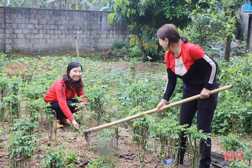 Chủ tịch hội phụ nữ xã ven đô Hà Tĩnh “mê làm đẹp môi trường