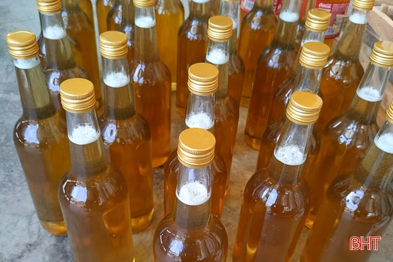 Nuôi ong dưới chân núi Hồng cho thu nhập khá